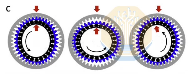 Strainwave process